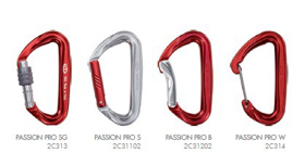 PASSION PRO