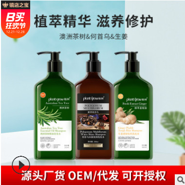 洗護(hù)用品除螨止癢澳洲茶樹精油洗發(fā)水 清爽控油植物精華洗發(fā)露