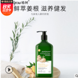 洗護(hù)用品生姜柔潤發(fā)絲洗發(fā)水 批發(fā)鮮萃姜根油洗發(fā)露