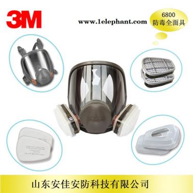 3M6800全面具 大視窗 雙濾毒盒面具 配合使用6000濾毒盒