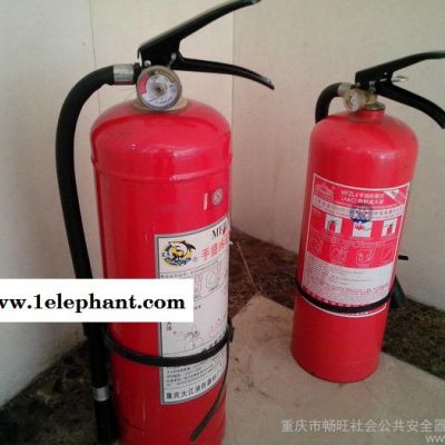 供應(yīng)龍威15安防器材滅火器