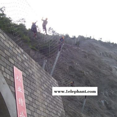 鵬昌  專業(yè)生產鋼絲繩網 SNS柔性防護網 主動防護網山體防落石網