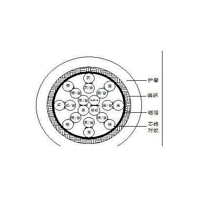 美標(biāo)UL2464 24AWG 20芯信號(hào)屏蔽線 雙絞線阻燃環(huán)