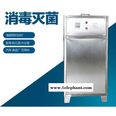 維斯特sw-015 氧氣源臭氧發(fā)生器   氧氣源臭氧發(fā)生器廠家