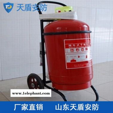 推車(chē)式干粉滅火器性能 干粉滅火器銷(xiāo)售 天盾消防產(chǎn)品