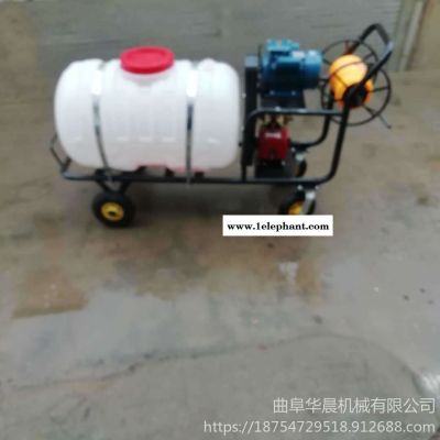 華晨手推式四輪果園打藥機  HC-DYJ消毒滅菌噴霧機 植保專用噴霧機