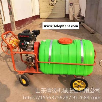 儒緣 - 衛(wèi)生防疫滅菌打藥車 飼養(yǎng)戶消毒汽油打藥機(jī) 手推式農(nóng)田汽油噴霧器  手推噴霧器廠家