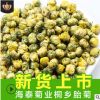 桐鄉(xiāng)頭采胎菊散裝批發(fā) 胎菊王菊花茶散裝杭白菊胎米產(chǎn)地直發(fā)