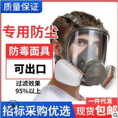 現(xiàn)貨6800硅膠全套面具 農(nóng)藥噴漆化工全口罩 放粉塵打磨活性防塵罩