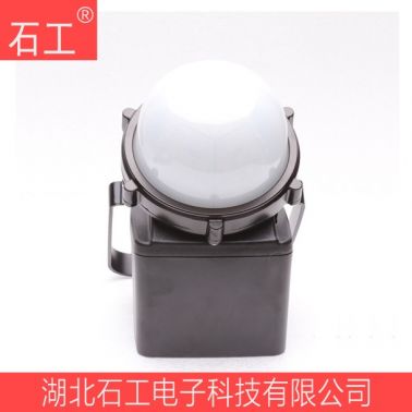 防爆泛光裝卸燈 ZY4210 12W12V/4.4AH