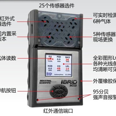 英思科MX6多功能氣體檢測(cè)儀