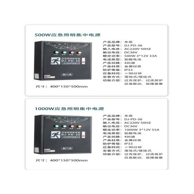 長沙東君DJ-C-2020應(yīng)急照明控制器廠家批發(fā)